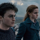 Illustration for article titled Harry Potter And The Deathly Hallows: Part 1